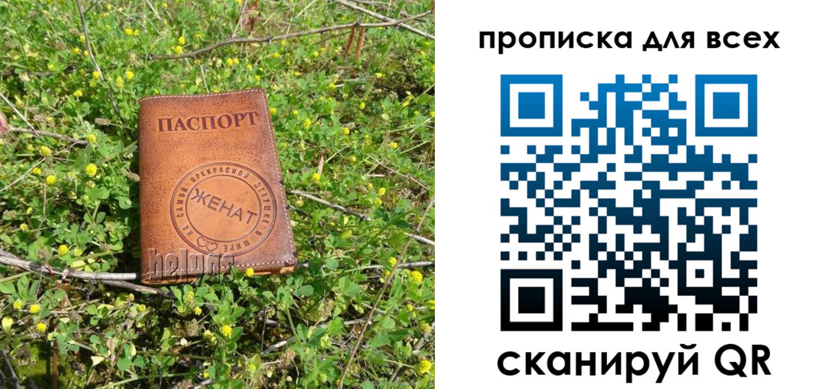 прописка поиск в Кузнецке